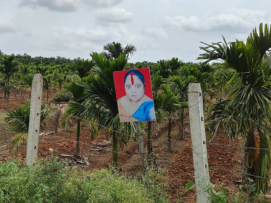 <div class="paragraphs"><p>ಹಾವೇರಿ ಜಿಲ್ಲೆಯ ಹಾನಗಲ್ ತಾಲ್ಲೂಕಿನ ಬಸಾಪುರ ಗ್ರಾಮದ ಬಳಿ ಅಡಿಕೆ ಜಮೀನಿನಲ್ಲಿ ದಪ್ಪ ಕಣ್ಣಿನ ಮಹಿಳೆಯ ಫೋಟೊ ಹಾಕಿರುವುದು</p></div>