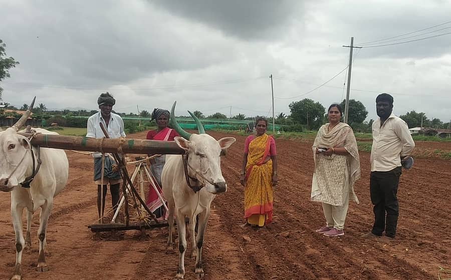 ಅರಸೀಕೆರೆ ತಾಲ್ಲೂಕಿನ ಕಣಕಟ್ಟೆ ಹೋಬಳಿಯಲ್ಲಿ ರಾಗಿ ಬಿತ್ತನೆಗೆ ಭೂಮಿ ಹದ ಮಾಡುತ್ತಿರುವ ರೈತರು.
