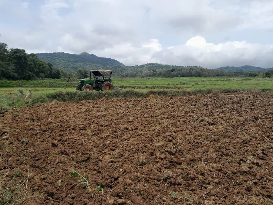 ಶನಿವಾರಸಂತೆ ಸಮೀಪ ಈಚೆಗೆ ರೈತರೊಬ್ಬರು ತಮ್ಮ ಜಮೀನನ್ನು ಉಳುಮೆ ಮಾಡುತ್ತಿದ್ದ ದೃಶ್ಯ ಕಂಡು ಬಂತು