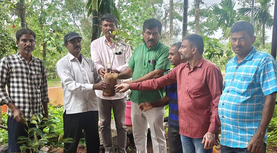 ಅರಣ್ಯವಾಸಿಗಳಿಗೆ ಪರಿಸರ ಜ್ಞಾನ ಮತ್ತು ಜಾಗೃತಿ ಮೂಡಿಸುವ ಉದ್ದೇಶದಿಂದ ಹಮ್ಮಿಕೊಂಡ ದಶಲಕ್ಷ ಗಿಡ ನೆಡುವ ಅಭಿಯಾನದ ವೇಳೆ ಅರಣ್ಯ ಅತಿಕ್ರಮಣದಾರರಿಗೆ ರವೀಂದ್ರ ನಾಯ್ಕ ಗಿಡಗಳನ್ನು ವಿತರಿಸಿದರು