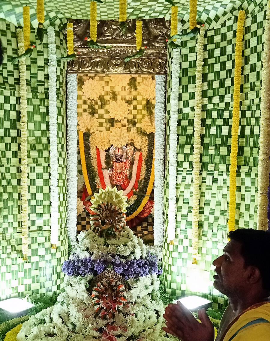 ಶ್ರೀರಂಗಪಟ್ಟಣದ ಚಾಮುಂಡೇಶ್ವರಿ ದೇವಾಲಯದಲ್ಲಿ, ಆಷಾಢ ಮಾಸದ ಮೊದಲನೇ ಶುಕ್ರವಾರದ ನಿಮಿತ್ತ ದೇವಿಗೆ ತೆಂಗಿನ ಗರಿ ಮತ್ತು ಎಳನೀರುಗಳಿಂದ ಕಲ್ಪವೃಕ್ಷ ಮಾತೆಯ ಅಲಂಕಾರ ಮಾಡಿ ಪೂಜಿಸಲಾಯಿತು