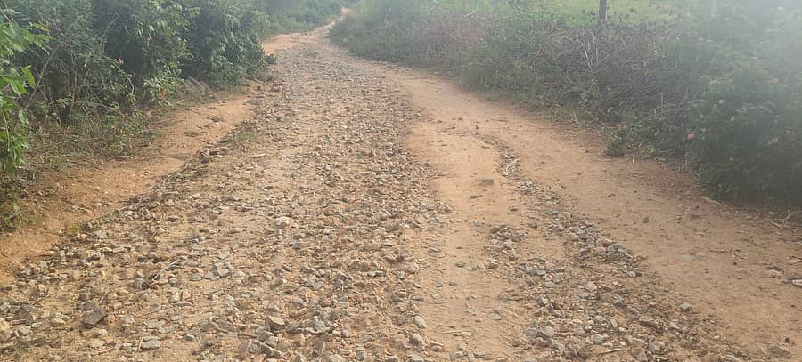 ಬಂಗಾರಪೇಟೆ ತಾಲ್ಲೂಕಿನ ಸಾಕರಸನಹಳ್ಳಿಯಿಂದ ಕದಿರಿನತ್ತ ಮುಖ್ಯ ರಸ್ತೆಗೆ ಸಂಪರ್ಕ ಕಲ್ಪಿಸುವ ರಸ್ತೆ ಸ್ಥಿತಿ