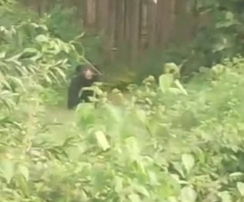 <div class="paragraphs"><p>ಕರಡಿ</p></div>