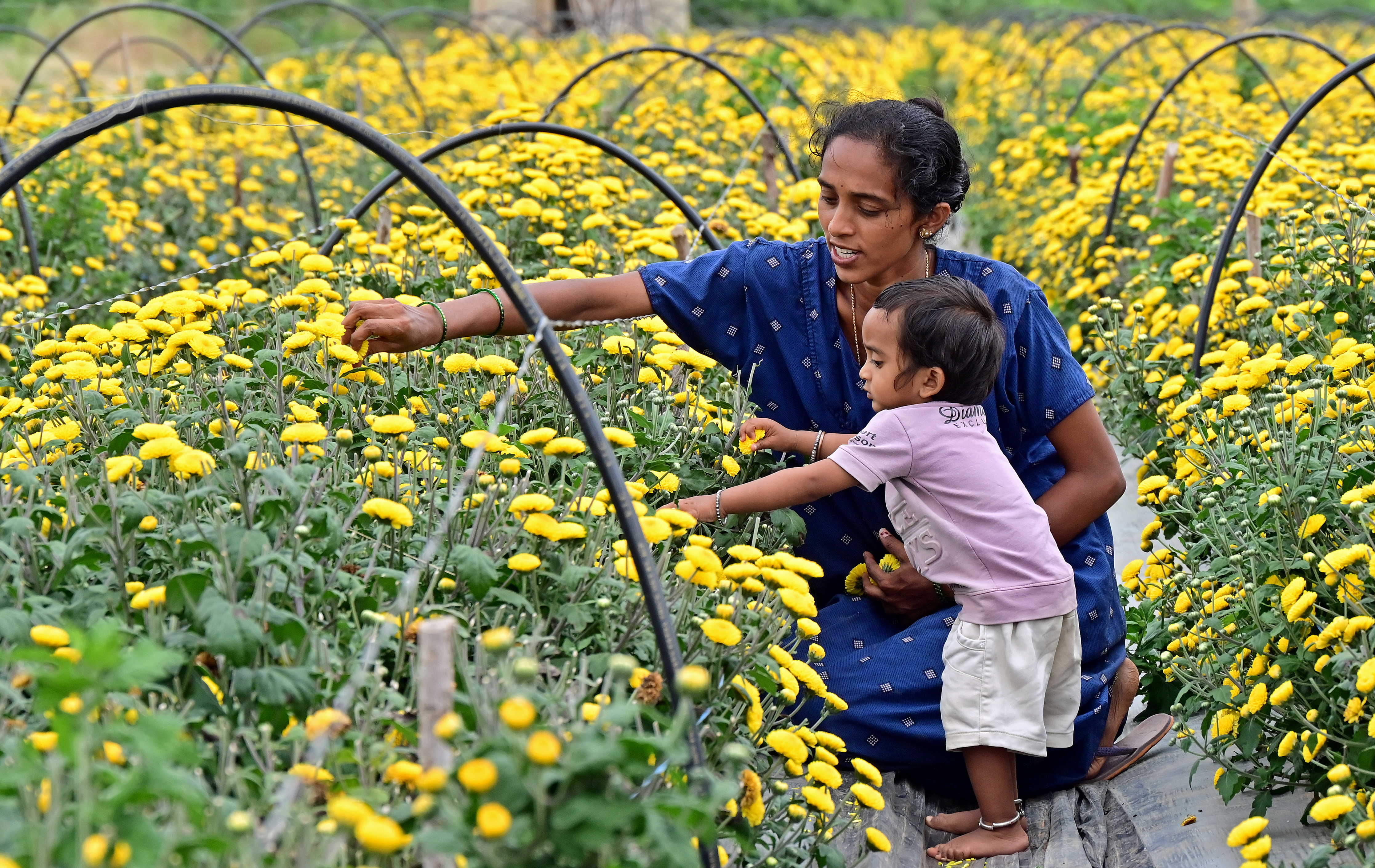 <div class="paragraphs"><p>‘ಮುಂದಿನ ತಲೆಮಾರಿಗೆ ಉಳಿಯುವುದೇ ಭೂಮಿ?’: ಪೋಲನಹಳ್ಳಿಯ ತಮ್ಮ ತೋಟದಲ್ಲಿ ಮಗನೊಂದಿಗೆ ಹೂಬಿಡಿಸುತ್ತಿರುವ ಶ್ರುತಿ ಅವರ ಪ್ರಶ್ನೆಯಿದು</p></div>