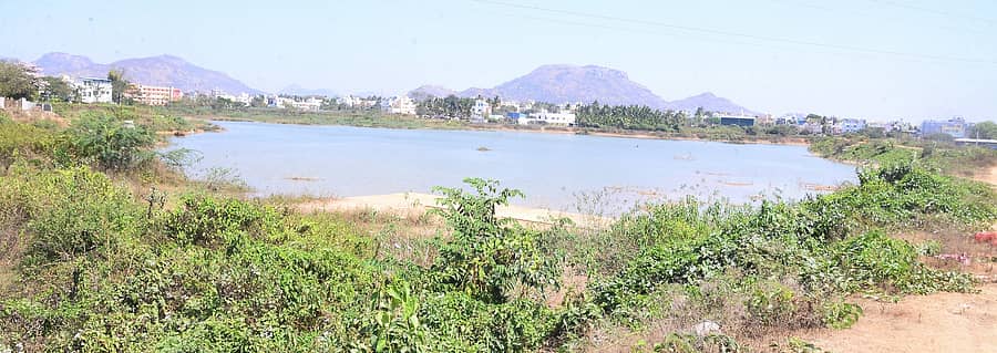 ತುಮಕೂರು ಹೊರವಲಯದ ಶೆಟ್ಟಿಹಳ್ಳಿ ಕೆರೆ