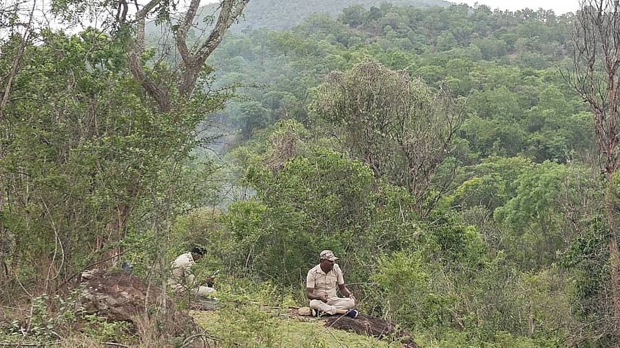 ಮಲೆಮಹದೇಶ್ವರ ವನ್ಯಜೀವಿ ವಿಭಾಗದ ಹೂಗ್ಯಂ ವಲಯ