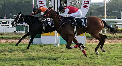 <div class="paragraphs"><p>ಪ್ರಾತಿನಿಧಿಕ ಚಿತ್ರ</p></div>