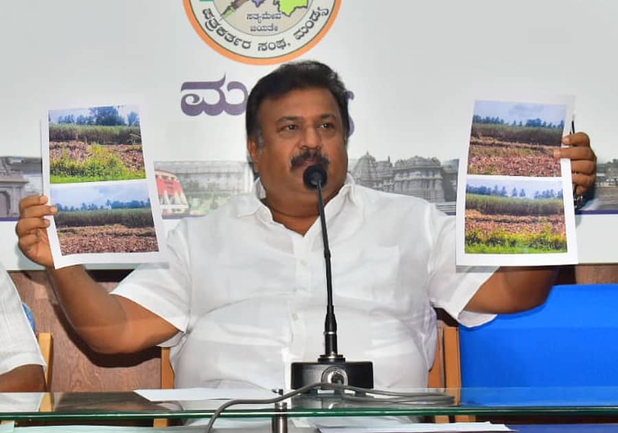 ನೀರಿಲ್ಲದೇ ಒಣಗಿರುವ ಕಬ್ಬಿನ ಬೆಳೆಯ ಫೋಟೊವನ್ನು ಮಾಜಿ ಶಾಸಕ ರವೀಂದ್ರ ಶ್ರೀಕಂಠಯ್ಯ ಪ್ರದರ್ಶಿಸಿದರು 