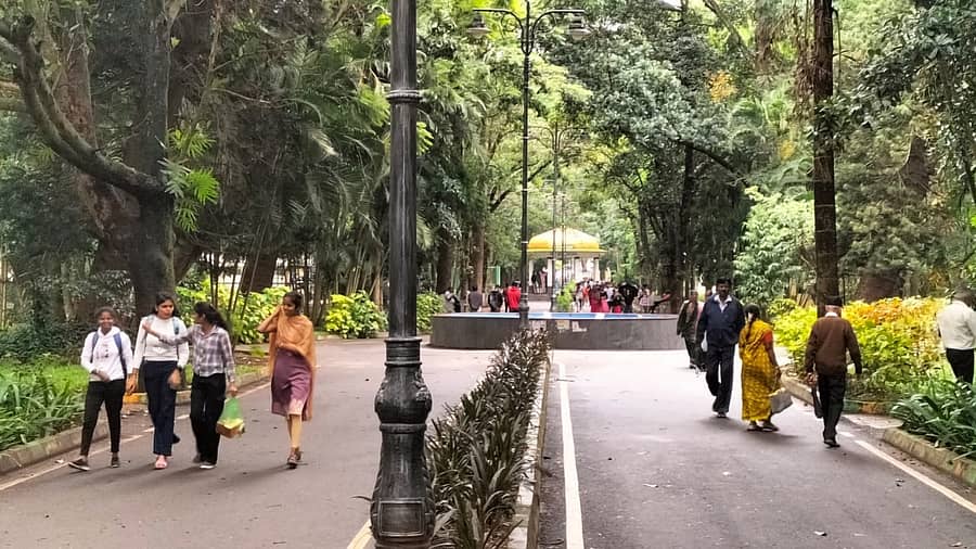 ಹಾಸನದ ಮಹಾರಾಜ ಪಾರ್ಕ್‌ನಲ್ಲಿ ಬೆಳಗಿನ ಜಾವ ವಾಯುವಿಹಾರಕ್ಕೆ ಬಂದಿರುವ ಜನರು.