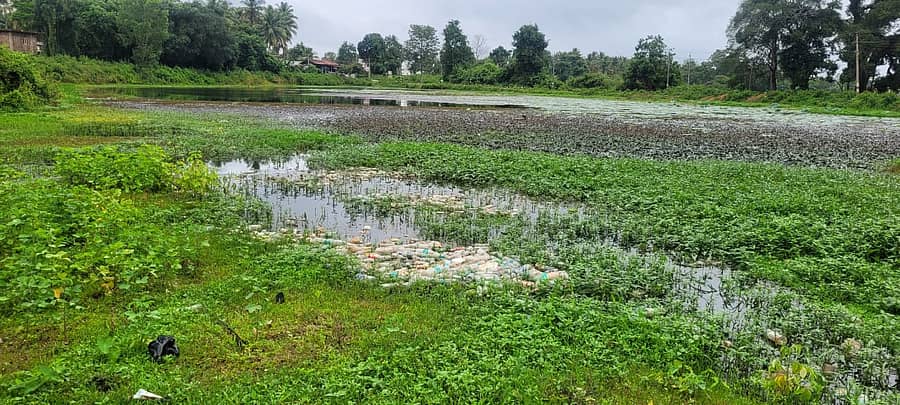 ರಿಪ್ಪನ್‌ಪೇಟೆ ಹೊರವಲಯದಲ್ಲಿರುವ ಚಿಪ್ಪಿಗರ ಕೆರೆಯಲ್ಲಿ ತುಂಬಿರುವ ತ್ಯಾಜ್ಯ