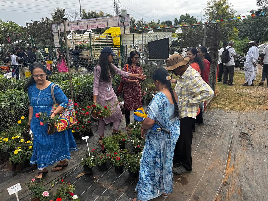 ‘ಸಸ್ಯ ಸಂತೆ’ಯಲ್ಲಿ ಹೂವು, ಹಣ್ಣಿನ ಗಿಡಗಳನ್ನು ಖರೀದಿಸುತ್ತಿರುವುದು