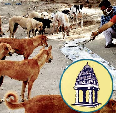 <div class="paragraphs"><p>ಸಂಪಾದಕೀಯ | ಬೀದಿ ನಾಯಿಗಳಿಗೆ ಪೌಷ್ಟಿಕ ಆಹಾರ: BBMPನಡೆ ಸರಿ, ಬದ್ಧತೆ ಪ್ರಶ್ನಾರ್ಹ</p></div>