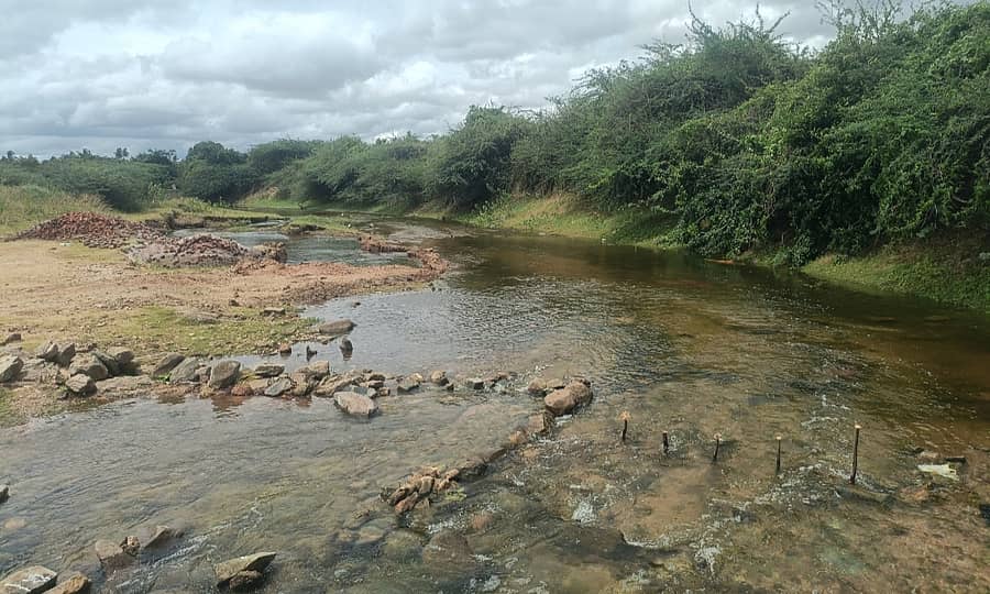 ಶಿರಾ ದೊಡ್ಡಕೆರೆಗೆ ಹರಿದು ಬರುತ್ತಿರುವ ಹೇಮಾವತಿ ನೀರು