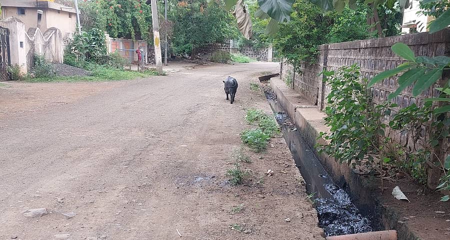 ಬಸವನಬಾಗೇವಾಡಿ ಪಟ್ಟಣದ ಪೊಲೀಸ್ ಠಾಣೆ ಹಾಗೂ ಬಿಎಸ್ಎನ್ಎಲ್ ಕಚೇರಿ ಮಧ್ಯದಲ್ಲಿರುವ ಸರ್ಕಾರಿ ಪ್ರಾಥಮಿಕ ಶಾಲೆಯ ರಸ್ತೆಯಲ್ಲಿರುವ ತೆರೆದ ಚರಂಡಿ.