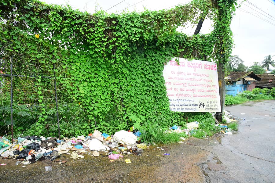ಮಲ್ಪೆ ಮೀನುಗಾರಿಕಾ ಬಂದರು ಸಮೀಪದ ಕಸದ ರಾಶಿ