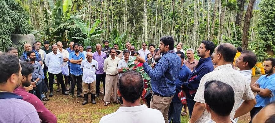 ಬಾಳೆಹೊನ್ನೂರು ಸಮೀಪದ ಆನೆಕಲ್ಲುಮಠದ ತೋಟವೊಂದರಲ್ಲಿ ಇಂಡಿಯನ್ ಪೆಪ್ಪರ್ ಲೀಗ್ ಹಾಗೂ ಕಾಫಿ ಸಂಶೋಧನಾ ಕೇಂದ್ರದ ಸಹಯೋಗದಲ್ಲಿ ಆಯೋಜಿಸಿದ್ದ ಕಾಫಿ ವಿಚಾರ ಸಂಕಿರಣದಲ್ಲಿ ವಿಜ್ಞಾನಿಗಳು ಪ್ರಾತ್ಯಕ್ಷಿಕೆ ನಡೆಸಿದರು