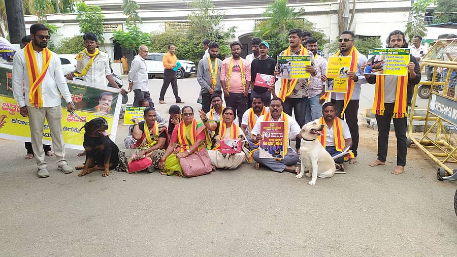 ಸರ್ಕಾರಿ ಶಾಲಾ ಮಕ್ಕಳಿಗೆ ಶೂ, ಟೈ, ಬೆಲ್ಟ್‌ ವಿತರಣೆ ಮಾಡಬೇಕು ಎಂದು ಒತ್ತಾಯಿಸಿ ಕರುನಾಡ ವಿಜಯಸೇನೆ ಸಂಘಟನೆ ಸದಸ್ಯರು ಜಿಲ್ಲಾಧಿಕಾರಿ ಕಚೇರಿ ಎದುರು ಪ್ರತಿಭಟನೆ ನಡೆಸಿದರು
