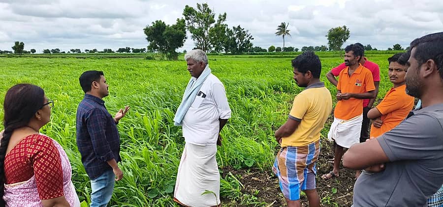 ಹರಿಹರ ತಾಲ್ಲೂಕಿನ ಹೊಸಳ್ಳಿ ಗ್ರಾಮದ ಜಮೀನಿನಲ್ಲಿ ಮೆಕ್ಕೆಜೋಳ ಬೆಳೆಯನ್ನು ಕೃಷಿ ಮತ್ತು ಕಂದಾಯ ಇಲಾಖೆ ಅಧಿಕಾರಿಗಳು ಮಂಗಳವಾರ ಭೇಟಿ ನೀಡಿ ಪರಿಶೀಲಿಸಿದರು