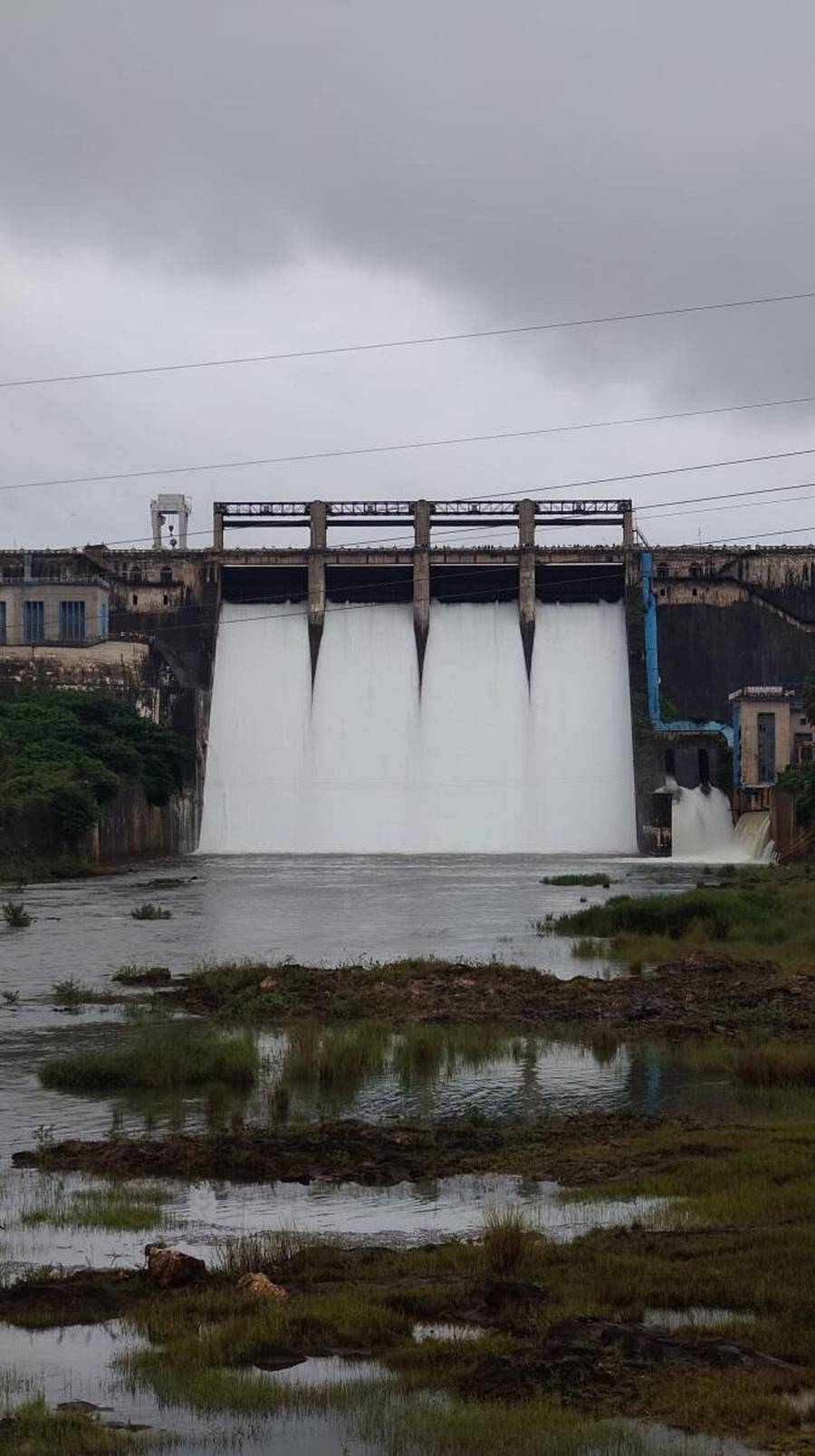 ಭದ್ರಾ ಜಲಾಶಯದಿಂದ ನದಿಗೆ ನೀರು ಹರಿಸಲಾಗುತ್ತಿದೆ