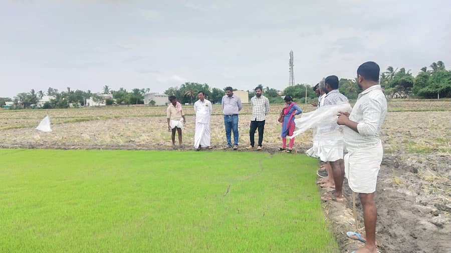 ಕಾರಟಗಿ ಸಮೀಪದ ಯರಡೋಣದಲ್ಲಿ ಕೃಷಿ ಇಲಾಖೆ ಅಧಿಕಾರಿಗಳು ರೈತರು ನಾಟಿ ಮಾಡಿರುವ ಸಸಿ ಮಡಿಗಳ ಸ್ಥಳಕ್ಕೆ ಭೇಟಿ ನೀಡಿ, ಮುಂಜಾಗರೂಕ ಕ್ರಮಗಳ ಬಗ್ಗೆ ಮಾಹಿತಿ ನೀಡಿದರು.