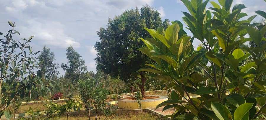 ಬಂಗಾರಪೇಟೆ ತಾಲ್ಲೂಕಿನ ಕಾಮಸಮುದ್ರ ಗ್ರಾಮದಲ್ಲಿ ವೃಷಭಾವತಿ ಕೆರೆ ಅಂಗಳದಲ್ಲಿ ನರೇಗಾ ಯೋಜನೆಯಡಿ ನಿರ್ಮಿಸಲಾದ ಉದ್ಯಾನವನ