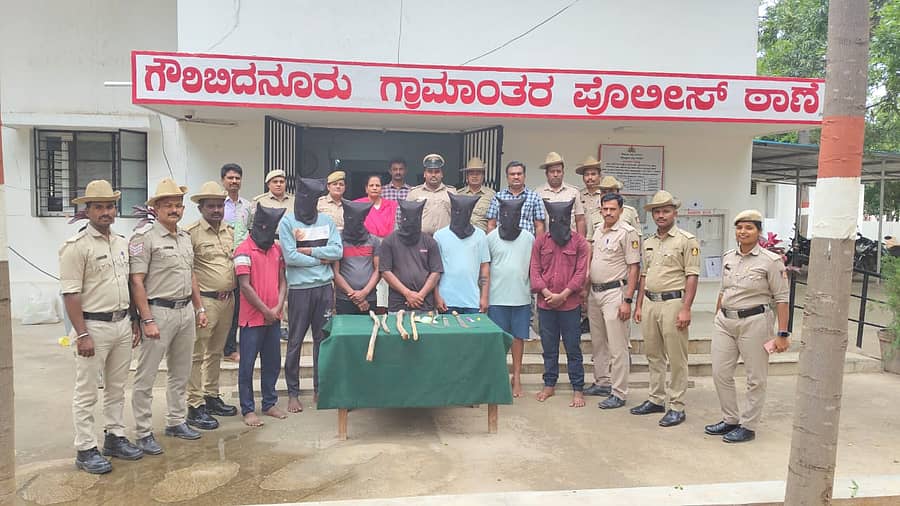 ಗೌರಿಬಿದನೂರು ರಾಜಲಕಕ್ಷ್ಮಿ ದೇವಸ್ಥಾನದ ಬಳಿ ಡಕಾಯಿತರನ್ನು ಬಂಧಿಸಿದ ಪೊಲೀಸರು