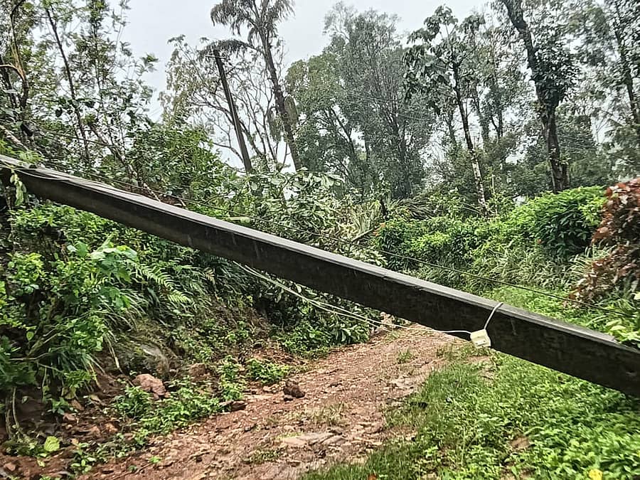 ನಾಪೋಕ್ಲು ಸಮೀಪದ ಕುಂಜಿಲ ಗ್ರಾಮದ ವಾಟೆಕಾಡು ಕಾಲೋನಿಯಲ್ಲಿ ಕಾಡಾನೆಯೊಂದು ಮರಮುರಿದುದರಿಂದ ವಿದ್ಯುತ್ ಕಂಬ ರಸ್ತೆಗಡ್ಡಲಾಗಿ ಬಿದ್ದಿದೆ.