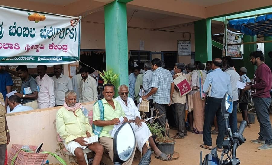 ಕೋಲಾರ ಜಿಲ್ಲೆಯ ಶ್ರೀನಿವಾಸಪುರ ಎಪಿಎಂಸಿ ಮಾರುಕಟ್ಟೆಯ ಕೌಂಟರ್‌ಗಳಲ್ಲಿ ಮಾವು ಮಾರಾಟ ಮಾಡಿದ ದಾಖಲೆ ಸಲ್ಲಿಸಲು ಮಂಗಳವಾರ ಸರತಿ ಸಾಲಿನಲ್ಲಿ ನಿಂತಿದ್ದ ಮಾವು ಬೆಳೆಗಾರರು