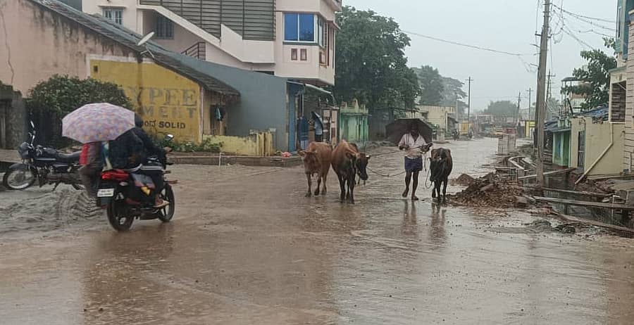 ಚಿಕ್ಕಜಾಜೂರಿನಲ್ಲಿ ಮಂಗಳವಾರ ಮಧ್ಯಾಹ್ನ ಬಿಟ್ಟೂ ಬಿಡದೆ ಸುರಿದ ಮಳೆ