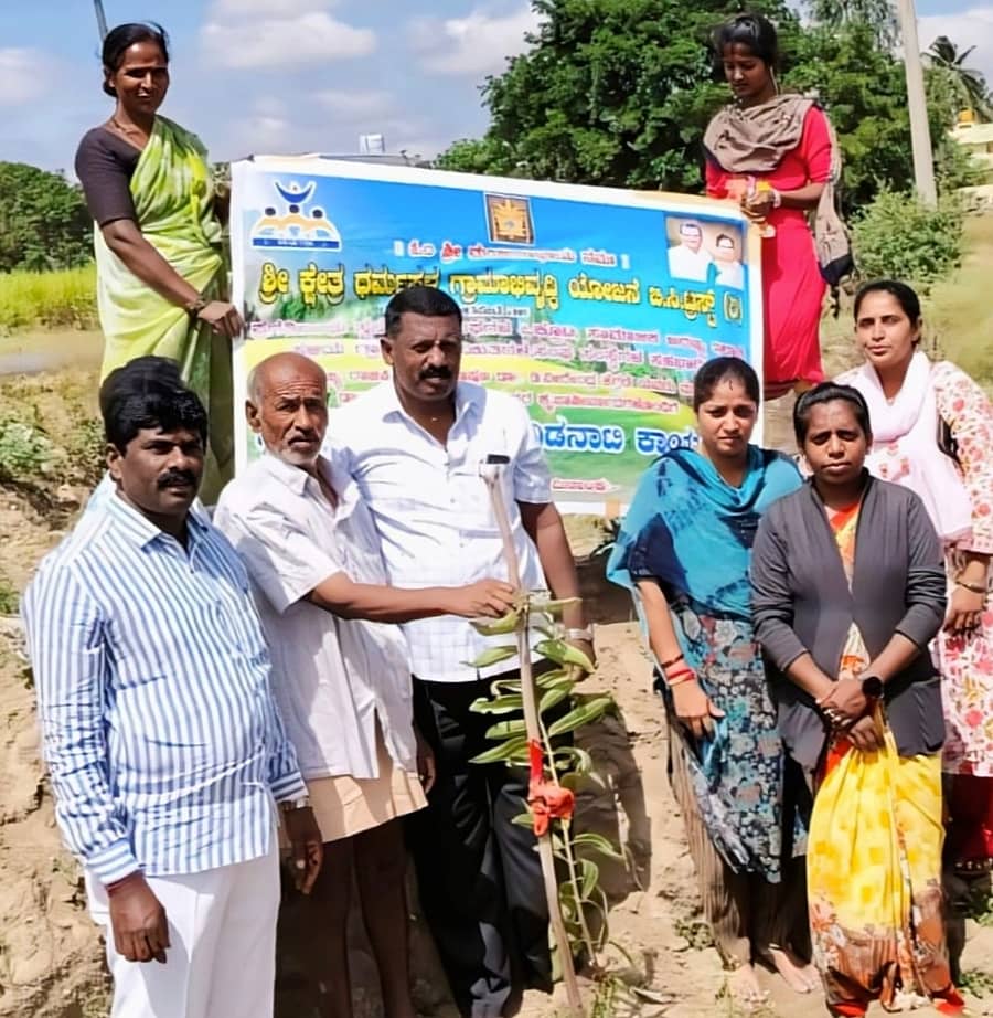 ಬಂಗಾರಪೇಟೆ ತಾಲ್ಲೂಕಿನ ಹುಲಿಬೆಲೆ ಕೆರೆ ಅಂಗಳದಲ್ಲಿ ಧರ್ಮಸ್ಥಳ ಗ್ರಾಮಾಭಿವೃದ್ದಿ ಯೋಜನೆ ಮೂಲಕ ಗಿಡಗಳನ್ನು ನೆಡಲಾಯಿತು