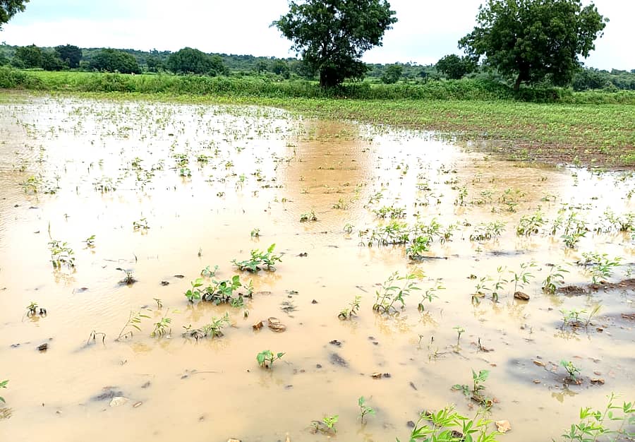 ಚಿತ್ತಾಪುರ ತಾಲ್ಲೂಕಿನ ಅಲ್ಲೂರ್ (ಕೆ) ಗ್ರಾಮದಲ್ಲಿ ಸೋಮವಾರ ರಾತ್ರಿ ಸುರಿದ ಮಳೆಯಿಂದ ರೈತರೊಬ್ಬರ ಹೊಲದಲ್ಲಿನ ಬೆಳೆ ಜಲಾವೃತವಾಗಿರುವುದು 