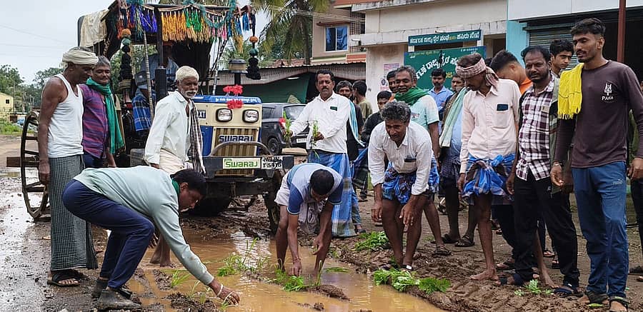 ಬ್ಯಾಡಗಿ ತಾಲ್ಲೂಕಿನ ಚಿಕ್ಕಣಜಿ ಗ್ರಾಮದ ಬಳಿ ಬೀರೂರು-ಸಮ್ಮಸಗಿ ರಾಜ್ಯ ಹೆದ್ದಾರಿಯಲ್ಲಿ ಉಂಟಾಗಿರುವ ಗುಂಡಿಗಳಲ್ಲಿ ಸಸಿ ನೆಡುವ ಮೂಲಕ ಗ್ರಾಮಸ್ಥರು ಮಂಗಳವಾರ ಪ್ರತಿಭಟನೆ ನಡೆಸಿದರು
