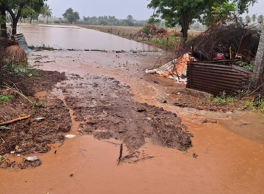 ಕಂಪ್ಲಿ ತಾಲ್ಲೂಕು ಚಿಕ್ಕಜಾಯಿಗನೂರು ಹಳೆಮಾಗಾಣಿ ರಸ್ತೆ ಮತ್ತು ಭತ್ತದ ಗದ್ದೆ ಮಳೆ ನೀರಿನಿಂದ ಜಲಾವೃತವಾಗಿರುವ ದೃಶ್ಯ