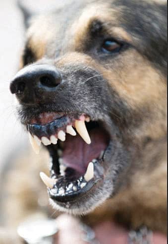 ಪ್ರಾತಿನಿಧಿಕ ಚಿತ್ರ