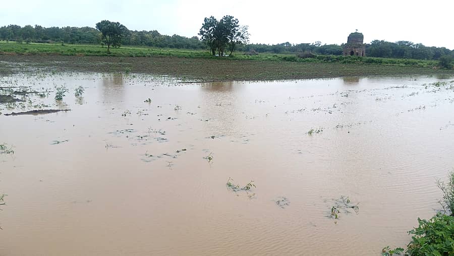 ಬೀದರ್‌ ತಾಲ್ಲೂಕಿನ ಗಾದಗಿ ರಸ್ತೆಯ ಹೊಲವೊಂದರಲ್ಲಿ ಗುರುವಾರ ಅಪಾರ ಪ್ರಮಾಣದ ಮಳೆ ನೀರು ಸಂಗ್ರಹಗೊಂಡಿತು