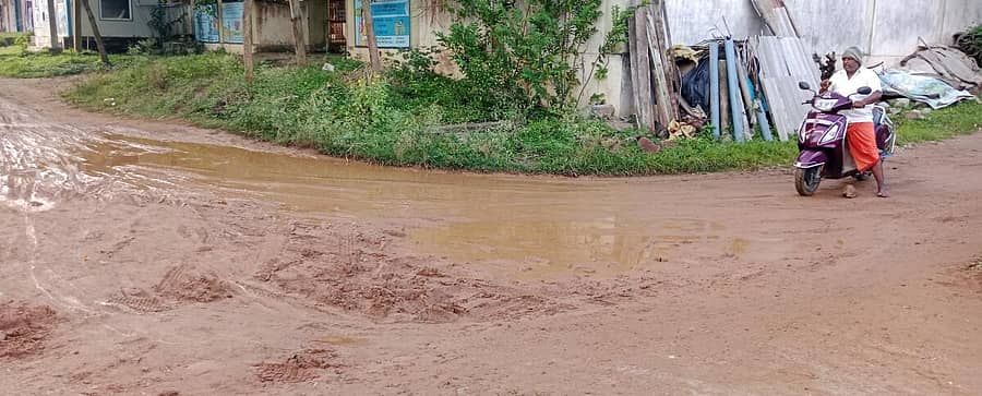 <div class="paragraphs"><p>ಹಳೇಬೀಡಿನ ಬಿಎಸ್ಎನ್ಎಲ್ ಕಚೇರಿ ತಿರುವಿನಲ್ಲಿ ಕೆಸರಿನ ರಾಡಿ ಹರಡಿದ್ದು, ವಾಹನ ಸಂಚಾರಕ್ಕೆ ತೊಡಕಾಗಿದೆ.</p></div>