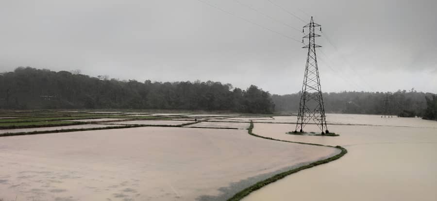 ಹೆತ್ತೂರು ಸಮೀಪದ ಐಗೂರು ಗ್ರಾಮದಲ್ಲಿ ಹೇಮಾವತಿ ಉಪನದಿ ಉಕ್ಕಿ ಹರಿದು ಭತ್ತದ ಗದ್ದೆಗಳು ಜಲಾವೃತವಾಗಿವೆ