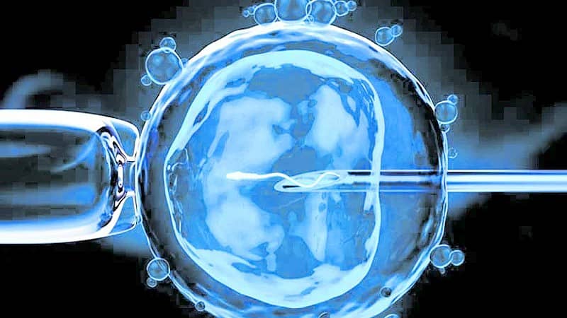 <div class="paragraphs"><p>ಐವಿಎಫ್ ಚಿಕಿತ್ಸೆ</p></div>