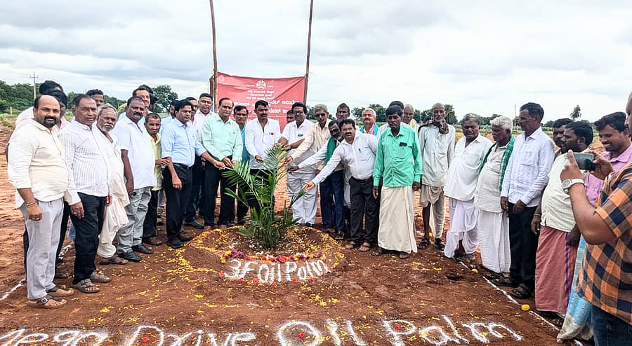 ಅಳವಂಡಿ ಸಮೀಪದ ಬಿಸರಳ್ಳಿ ಗ್ರಾಮದಲ್ಲಿ ನಡೆದ ತಾಳೆ ಬೆಳೆ ಬೇಸಾಯ ತರಬೇತಿ ಕಾರ್ಯಕ್ರಮಕ್ಕೆ ಗಣ್ಯರು ಚಾಲನೆ ನೀಡಿದರು
