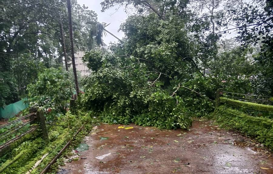 ಸುಬ್ರಹ್ಮಣ್ಯ ದೇವರ ಗದ್ದೆಯ ಅಜ್ಜಿ ಹಿತ್ಲು ಎಂಬಲ್ಲಿ ಸೇತುವೆ ಮೇಲೆ ಮರ ಬಿದ್ದು ಸಂಚಾರ ಸ್ಥಗಿತಗೊಂಡಿತ್ತು