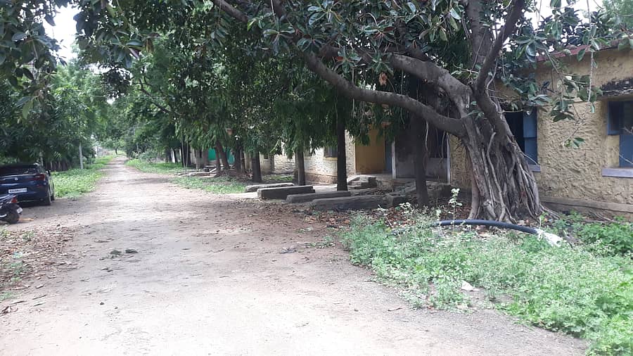 ಆಲಮೇಲ‌ ಪಟ್ಟಣದ ಸಿಂದಗಿ ರಸ್ತೆಯಲ್ಲಿ ಇರುವ ಯುಕೆಪಿ ಕ್ಯಾಂಪಿನ ಕಟ್ಟಡಗಳಲ್ಲಿ ಪದವಿ ಕಾಲೇಜಿನ ತರಗತಿಗಳನ್ನು ಆರಂಭಿಸಲು ಯೋಗ್ಯವಾಗಿವೆ