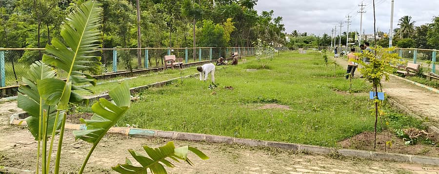 ಹಗರಿಬೊಮ್ಮನಹಳ್ಳಿಯಲ್ಲಿಯ 1ನೇವಾರ್ಡ್ನಲ್ಲಿರುವ ಸಸ್ಯೋದ್ಯಾನ(ಬಟಾನಿಕಲ್ ಗಾರ್ಡನ್)