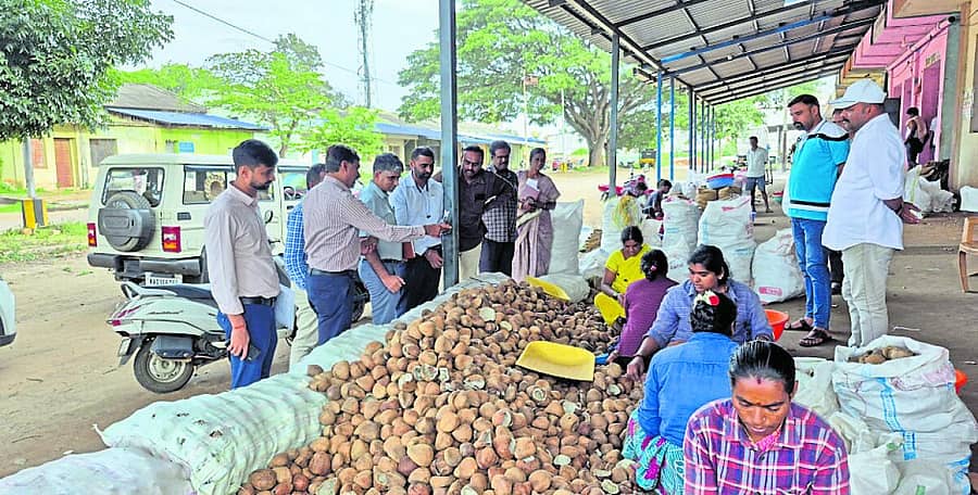 <div class="paragraphs"><p>ಕೊಬ್ಬರಿ ಬೆಲೆ ನೀತಿ ರೂಪಿಸುವ ಹಿನ್ನೆಲೆಯಲ್ಲಿ ಭಾರತ ಸರ್ಕಾರದ ಕೃಷಿ ಮತ್ತು ರೈತರ ಕಲ್ಯಾಣ ಮಂತ್ರಾಲಯ ದೆಹಲಿ ಅಧಿಕಾರಿಗಳ ತಂಡ ತಿಪಟೂರಿಗೆ ಭೇಟಿ ನೀಡಿದರು</p></div>