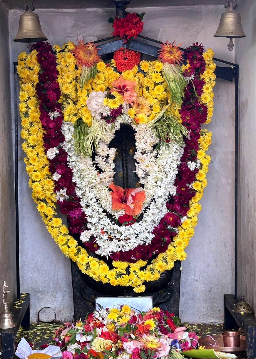 ರಿಪ್ಪನ್ಪೇಟೆಯ ಶಬರೀಶ ನಗರದ ಬಳಿಯ ನಾಗರಬನಕ್ಕೆ ಭಕ್ತರು ಹಾಲೆರೆದು ಪೂಜಿಸಿದರು