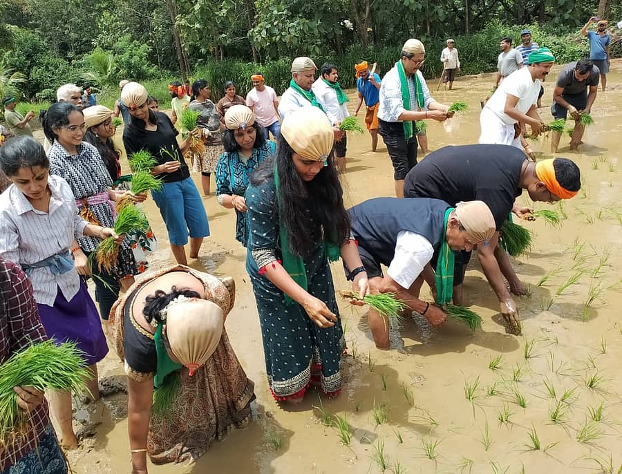 ಶಿರಸಿಯ ಉಂಚಳ್ಳಿ ತುಡ್ವಿ ಮನೆಯಲ್ಲಿ ನಾಟಿ ಹಬ್ಬದಲ್ಲಿ ಭತ್ತದ ಸಸಿ ನಾಟಿ ಮಾಡಲಾಯಿತು
