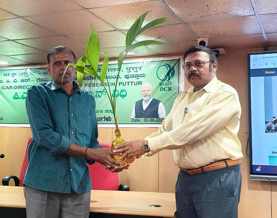 <div class="paragraphs"><p>ಪುತ್ತೂರಿನ ಐಸಿಎಆರ್- ಗೇರುಸಂಶೋಧನಾ ನಿರ್ದೇಶನಾಲಯದಲ್ಲಿ ಶನಿವಾರ ಪಿಎಂ-ಕಿಸಾನ್ ಉತ್ಸವದ ಭಾಗವಾಗಿ ‘ಗೇರಿನ ವೈಜ್ಞಾನಿಕ ಕೃಷಿ’ ಕುರಿತ ತರಬೇತಿ ಕಾರ್ಯಕ್ರಮಲ್ಲಿ ಪರಿಶಿಷ್ಟ ಪಂಗಡದ ರೈತರಿಗೆ ಸಸಿಗಳನ್ನು ವಿತರಿಸಲಾಯಿತು</p></div>