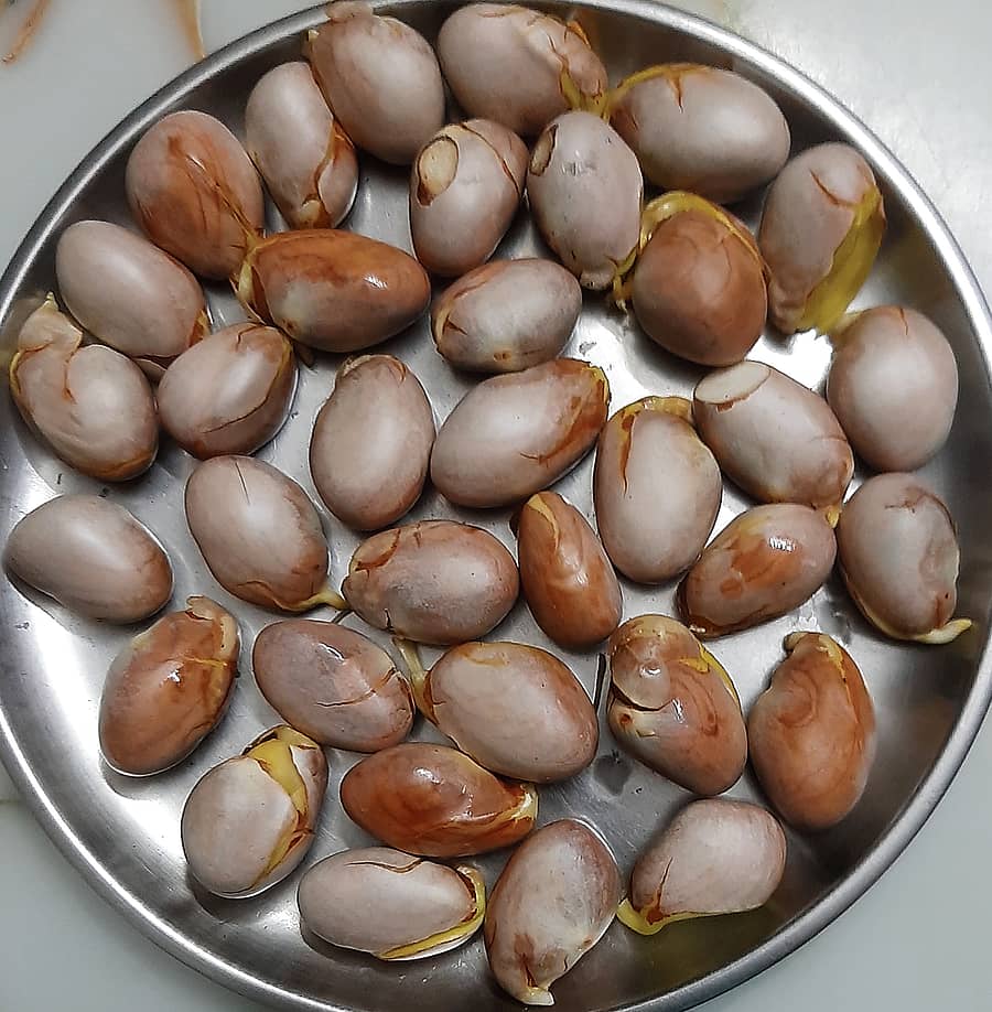 ಹಲಸಿನ ಬೀಜ