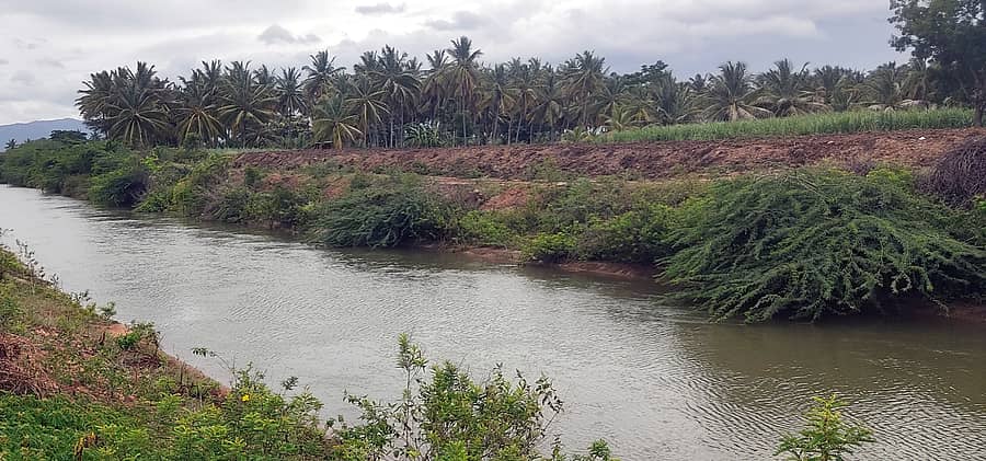 ಯಳಂದೂರು ವ್ಯಾಪ್ತಿಯ ಗೂಳಿಪುರ ಗ್ರಾಮದ ಬಳಿ ದೊಡ್ಡ ಕಬಿನಿ ಕಾಲುವೆಯಲ್ಲಿ ನೀರು ಹರಿಯುತ್ತಿದೆ 