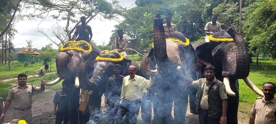 ಕುಶಾಲನಗರ ಸಮೀಪದ ದುಬಾರೆ ಸಾಕಾನೆ ಶಿಬಿರದಿಂದ ನಾಲ್ಕು ಆನೆಗಳಿಗೆ ಸಾಂಪ್ರದಾಯಿಕ ಪೂಜೆ ಸಲ್ಲಿಸಿ ಅರಣ್ಯ ಇಲಾಖೆ ಅಧಿಕಾರಿಗಳು ಬೀಳ್ಕೊಟ್ಟರು