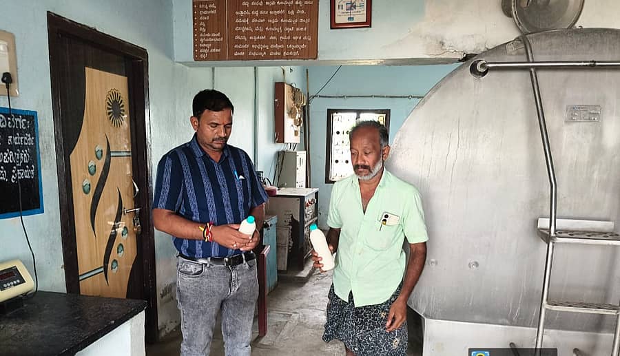 ಮಾನ್ವಿ ತಾಲ್ಲೂಕಿನ ಅಮರೇಶ್ವರ ಕ್ಯಾಂಪಿನ ಹಾಲು ಉತ್ಪಾದಕರ ಸಹಕಾರ ಸಂಘಕ್ಕೆ ಆಹಾರ ಸುರಕ್ಷತಾ ಇಲಾಖೆಯ ಅಧಿಕಾರಿ ಬನದೇಶ್ವರ ವೈ. ಭೇಟಿ ನೀಡಿ ಹಾಲಿನ ಮಾದರಿ ಸಂಗ್ರಹಿಸಿದರು
